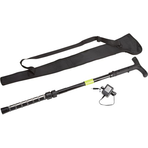 ZAP Cane Taser Stick and Flashlight