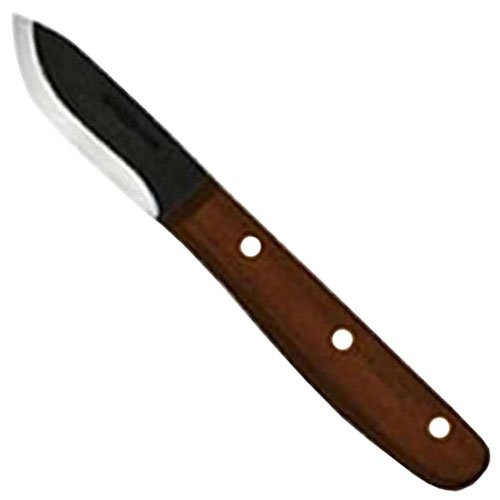 Condor Mini-Bushcraft Basic Fixed Blade Knife
