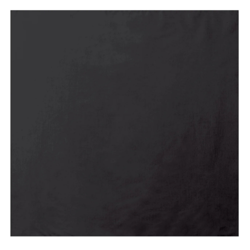 Cotton Trainmen Bandana