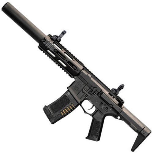 Amoeba MR/E-SD Assault AEG Rifle