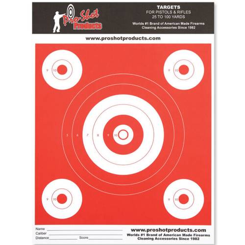  9x12 Inch Bullseye Day Glow Target