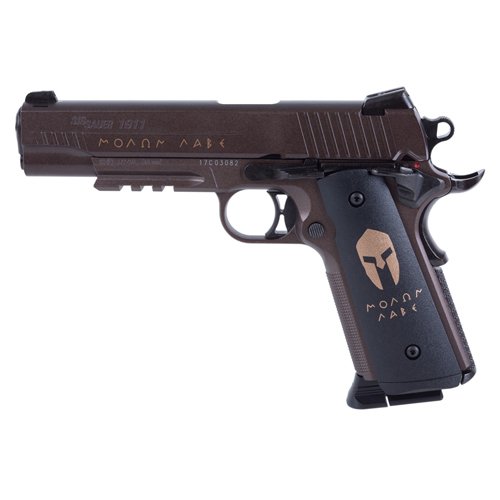 Sig Sauer 1911 Spartan CO2 Steel BB gun