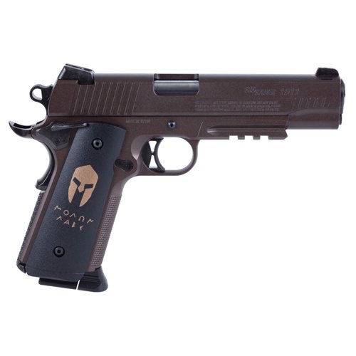 Sig Sauer 1911 Spartan CO2 Steel BB gun