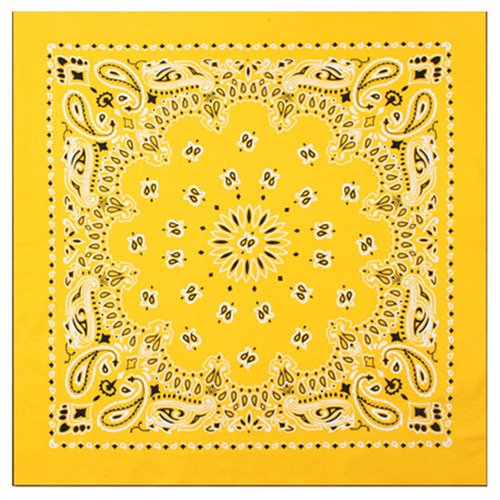 Trainmen Bandana