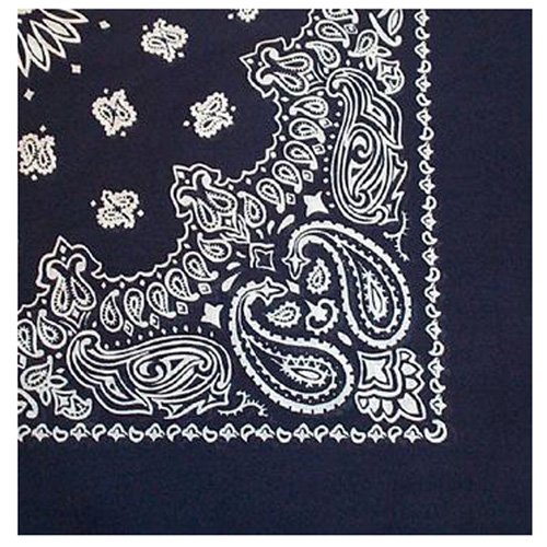 Trainmen Bandana