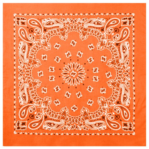 Trainmen Bandana