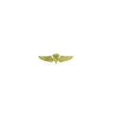 Wing USN Para Basic