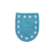 Patch Army Flash Beret