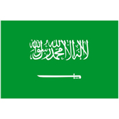 Large Saudi Arabian Flag